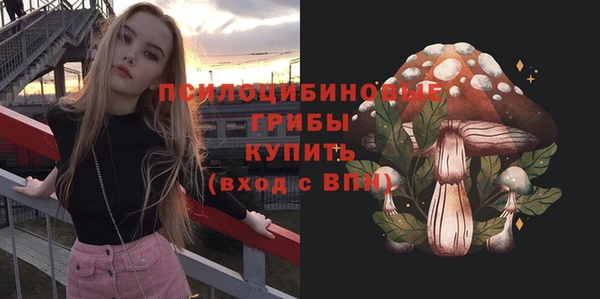 не бодяженный Абаза